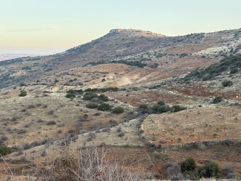 GAZİANTEP NİZİP'DE 53.004 M2 SATILIK FISTIK BAHÇESİ